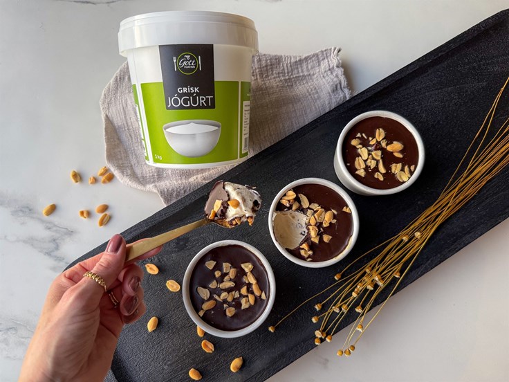 Miðvikudagur – Grísk jógúrtskál með súkkulaðiskel