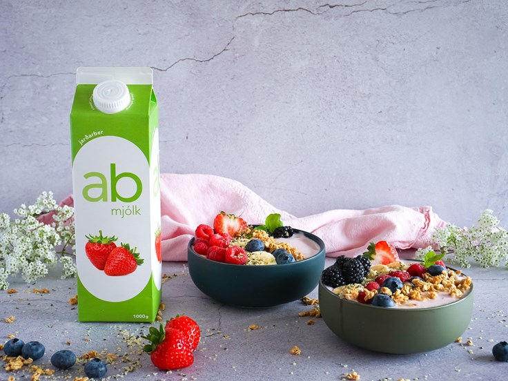 Þriðjudagur – Jarðarberja ab skálar með ávöxtum og múslí