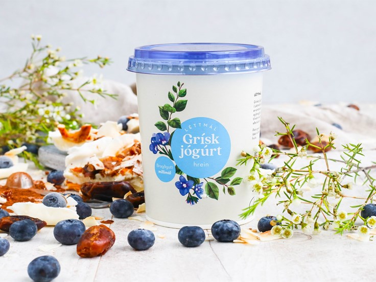 Þriðjudagur - Jógúrtsnakk með grískri jógúrt