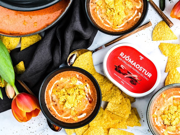 Miðvikudagur – Mexíkósk kjúklingasúpa með rjómaosti